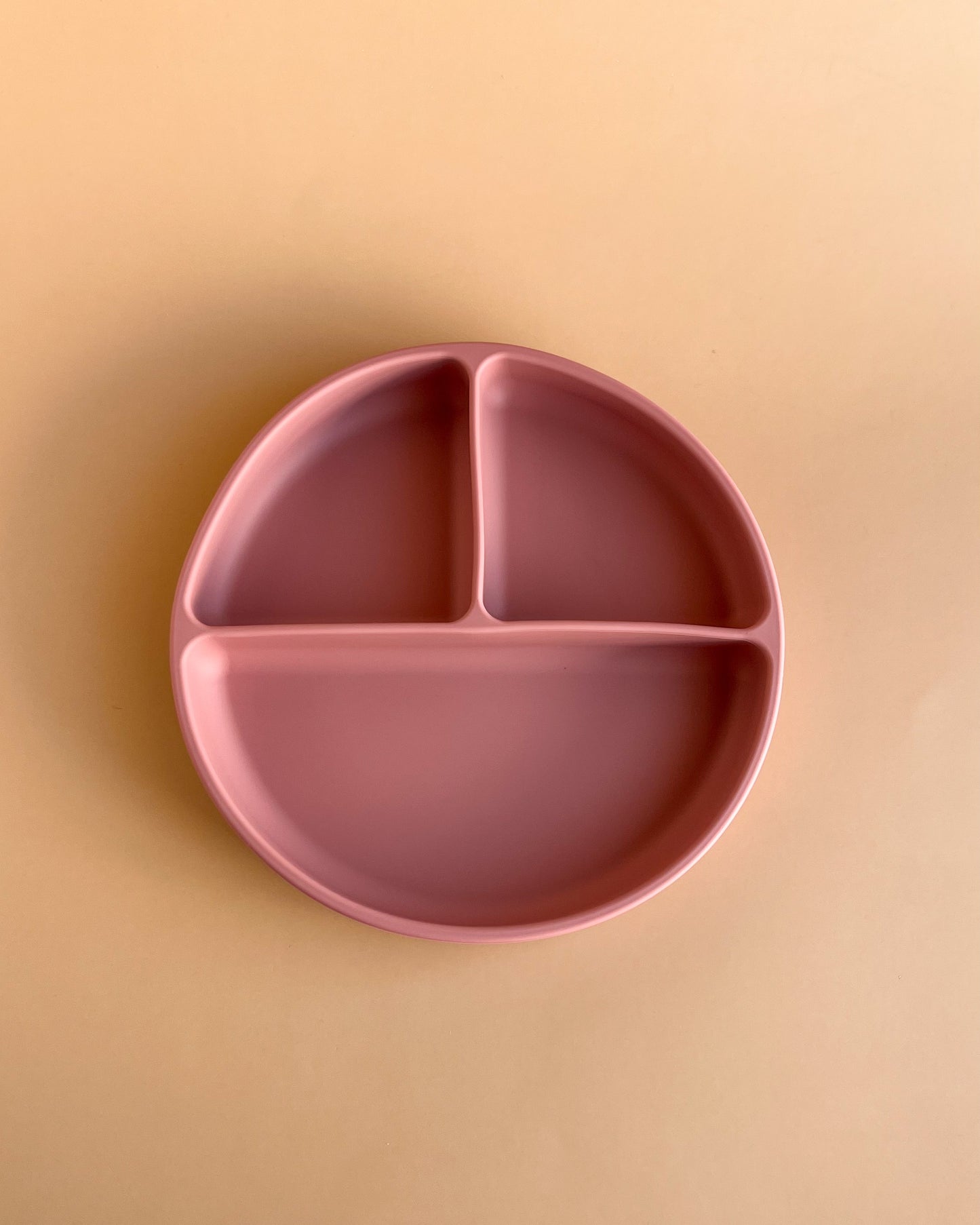 SILICONE DIVIDED PLATE+LID