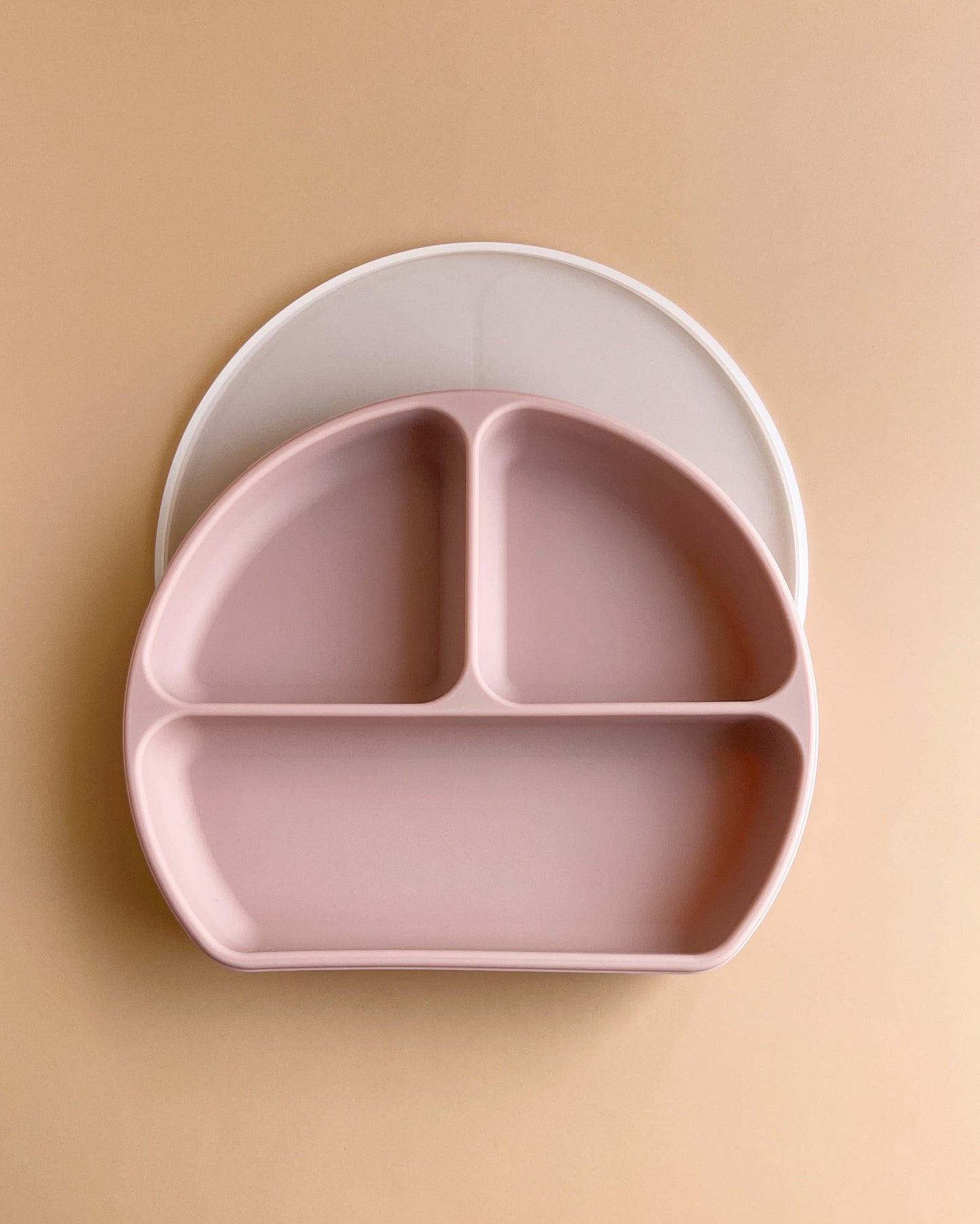 SILICONE DIVIDED PLATE+LID